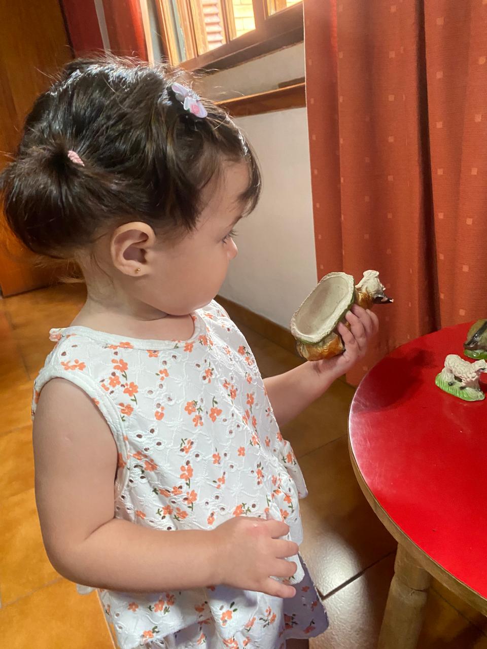 WhatsApp Image 2026-01-01 at 5.14.13 PM1.jpeg